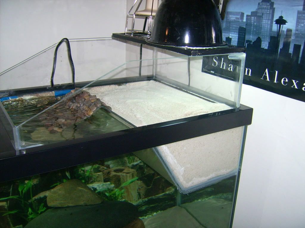 DIY turtle tank help... please! | MonsterFishKeepers.com